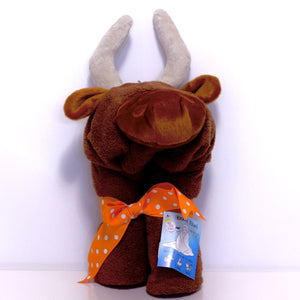 AM PM Hooded Plush Baby Towel