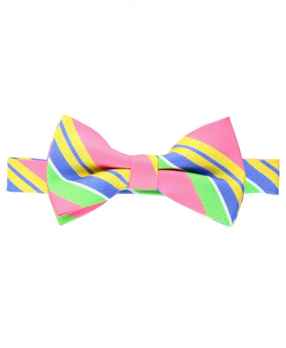 Rugged Butts  Bow Tie in Preppy